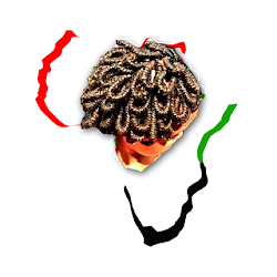 Shine My Locs  Braids