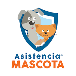 Asistencia Mascota