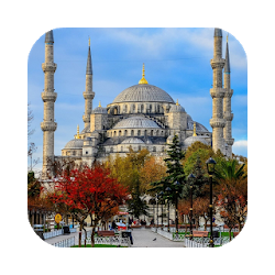 Blue Mosque Live Wallpaper