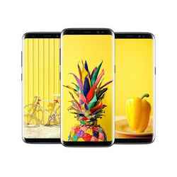 Yellow Wallpapers يلو ويلبيبر