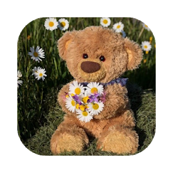 Buenos días tardes noches