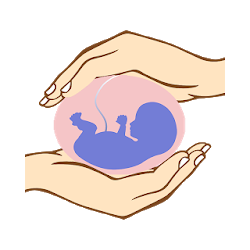 Healthy Nutrition Pregnancy