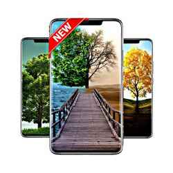 all seasons wallpaper