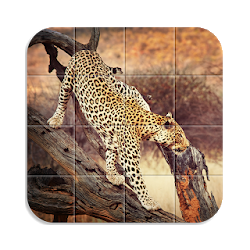 تطبيق بازل حيوانات