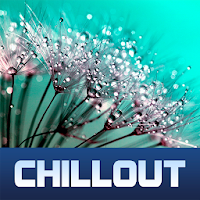 ChillOut Record Live Stations تنزيل ChillOut Record Live Stations Free لـ Android