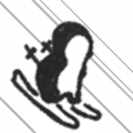 Penguin Ski