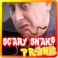 Scary Snake Prank Joke on Screen