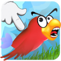 Capture Bird