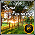 Good Evening Sunrise