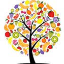 Reference book of fruit trees