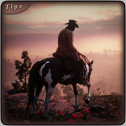 walkthrough For Red Dead Redemption 3D