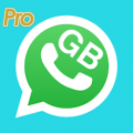 GB Wasahp Pro V8 2020
