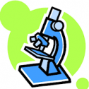 CSE - Human Social Biology