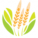Agrineers