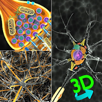 تطبيق 3D Biology + تنزيل تطبيق 3D Biology + Free لـ Android