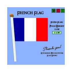 تنزيل تعلم اللغة الفرنسية بطريقة سهلة Free لـ Android