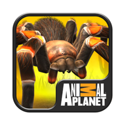 لعبة العناكب Real Scary Spiders